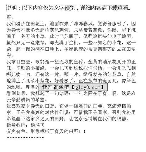 作文春，作文春节