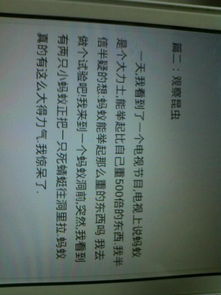 描写昆虫的作文