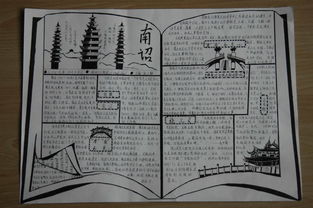 七年级上册生物手抄报，七年级上册生物手抄报简单又漂亮