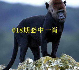 什么像什么造句?