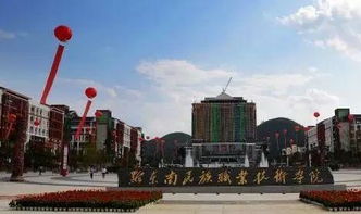 300分能上什么大学