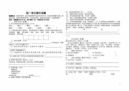 初一语文期中试卷，初一语文期中试卷分析