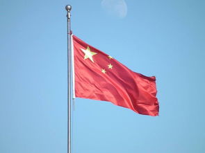 红旗飘飘引我成长征文，红旗飘飘引我成长征文800字