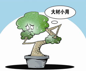 好高骛远的拼音，好高骛远的拼音和意思