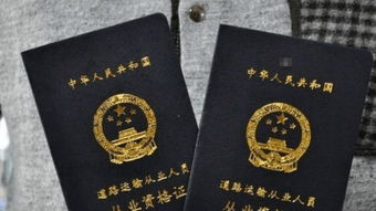 2013年会计从业资格考试，2013年会计从业资格考试成绩查询