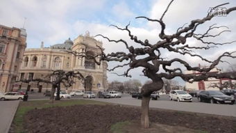 Odessa，odessa西艾