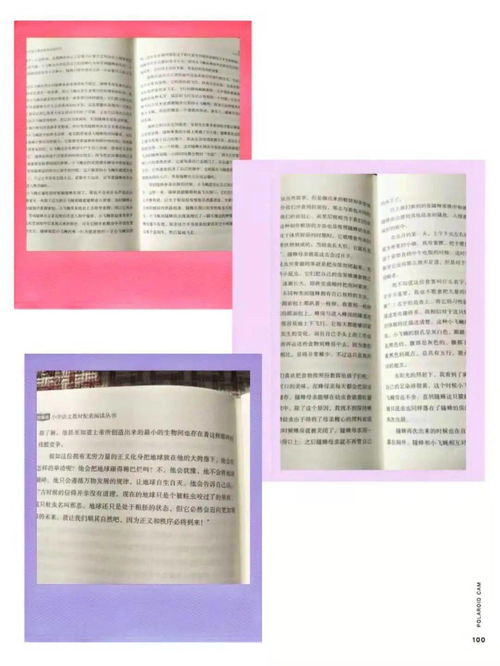 读书笔记昆虫记，读书笔记昆虫记10篇