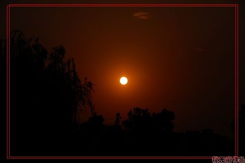 几度夕阳红歌曲，几度夕阳红歌曲歌词