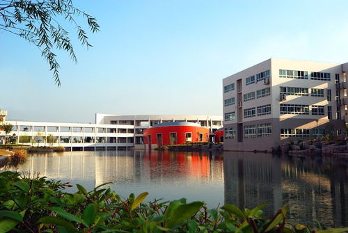 江门职业技术学院教务系统，江门职业技术学院教务系统APP