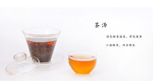 添炉煮雀舌，添炉烹雀舌中的雀舌是什么意思