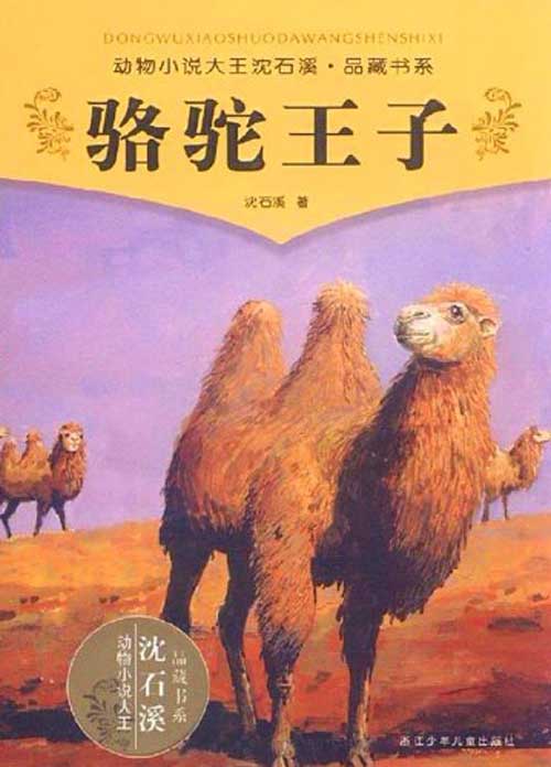 骆驼王子的主要内容