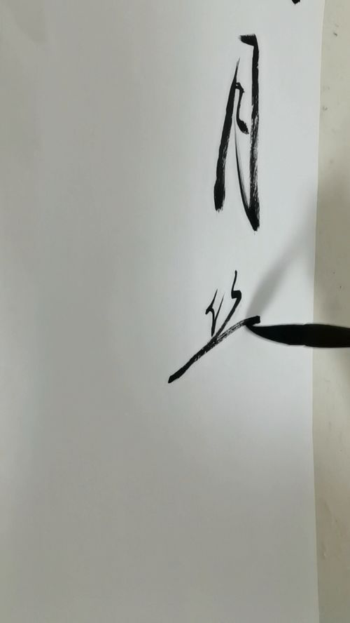 时有