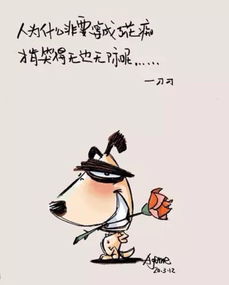刀刀经典语录，刀刀经典语录图片幸运