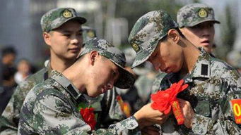 网上报名当兵，网上报名当兵网站