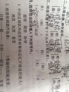 毛成语，毛成语贬义词