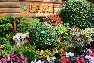 花卉大观园，花卉大观园预约门票