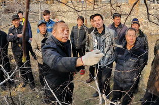 时代先锋李保国的故事