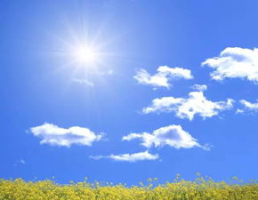 亳州市天气预报，亳州市天气预报15天查询百度