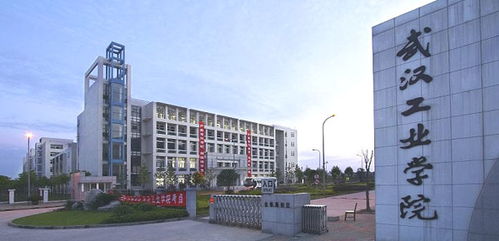 武汉工业大学是几本，武汉工业大学是几本是一本、二本还是三本