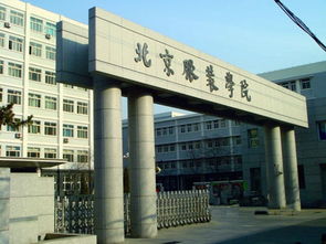 北京服装学院是一本吗，北京服装学院是一本吗公办还是民办学费多少那个专业强