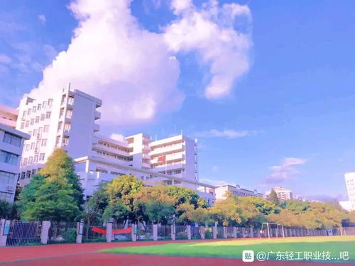 福建本科线，福建本科线2022分数线