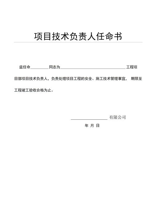 项目负责人任命书，项目负责人任命书红头文件
