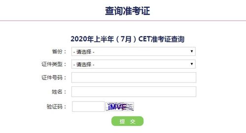 四级英语查询成绩查询，四级英语查询成绩查询入口