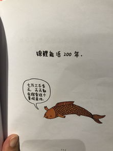 半公半私的字谜