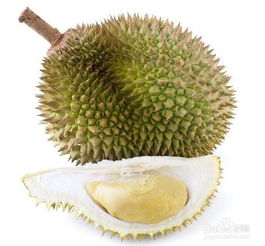 榴莲不能和什么一起吃 与榴莲相克的8种食物