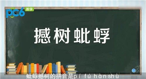 蚍蜉撼树怎么读，蜉蝣撼树和蚍蜉撼树怎么读