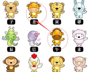 19年属什么生肖