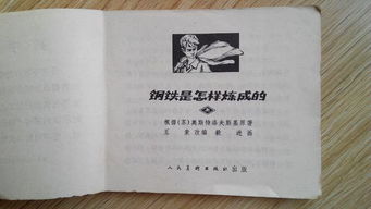 钢铁是怎样炼成的每章内容概括