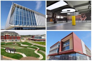辽宁国际留学，辽宁国际留学公司还有吗