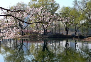 玉渊潭在哪里呀???