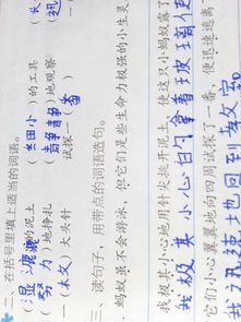 虽但造句，虽但造句子六年级