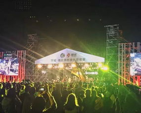 2022年全国有哪些大型音乐节?