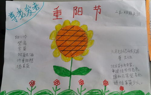重阳节手抄报二年级，重阳节手抄报二年级简单