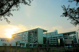 温州大学瓯江学院教务处登录入口