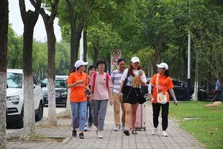 志愿安徽，志愿安徽志愿云注册