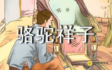 骆驼祥子读后感600字 初一水平