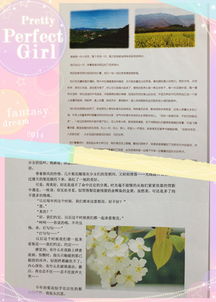 照片里的故事作文