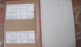 政审表本人成分怎么填写