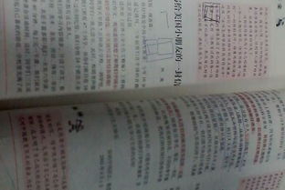 作文我的好朋友200字，作文我的好朋友200字初中