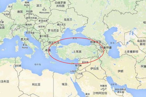 多邻国官网怎么注册账户