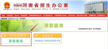 河南省招生网，河南省招生网录取查询