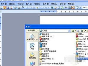 wps什么意思