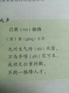 《己亥杂诗》的意思是什么?