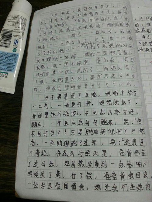 父母之爱作文，父母之爱作文500字