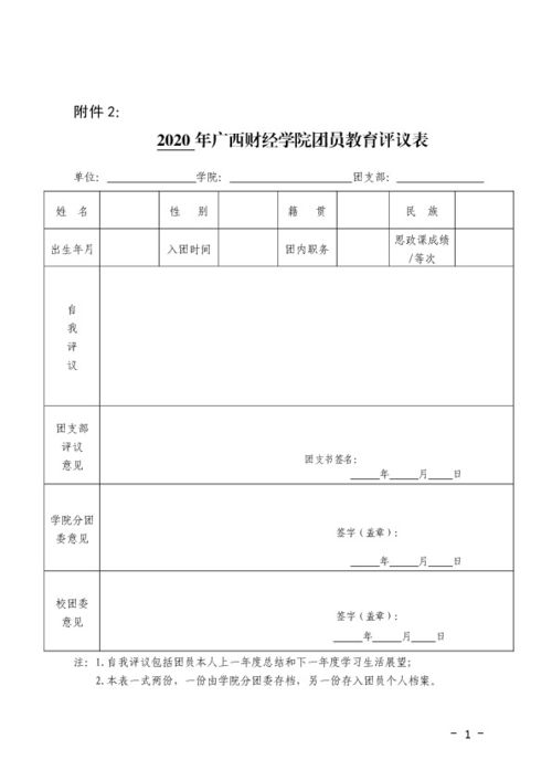团员评议表的自我评价