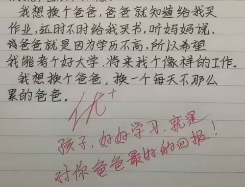 洗袜子作文